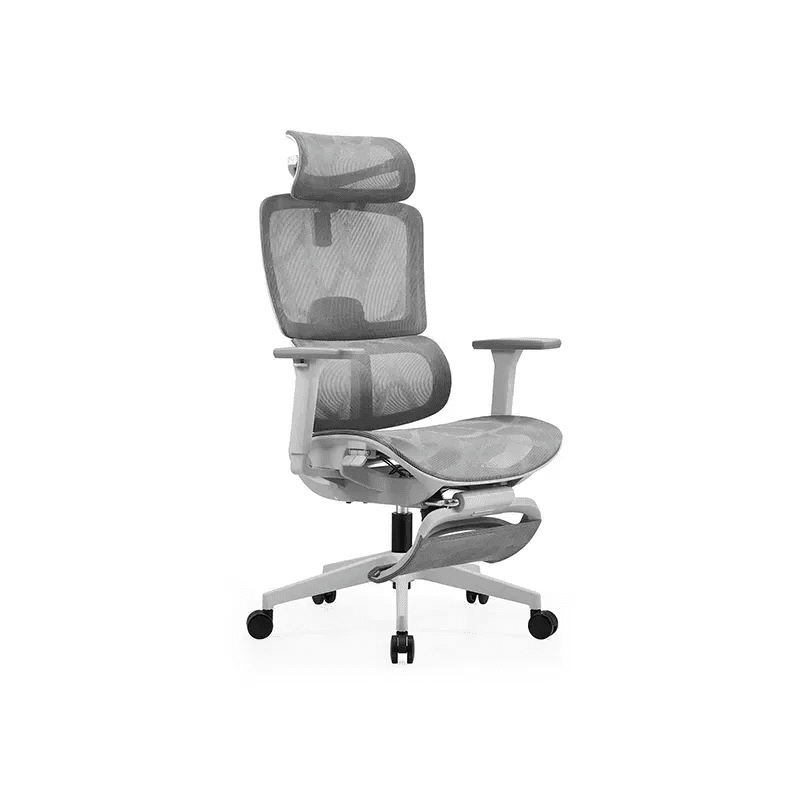 NOVA FOCUS Gris - Image 2