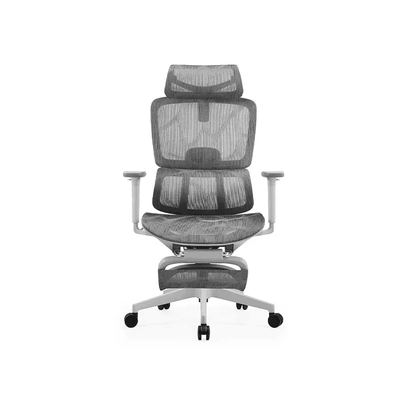 NOVA FOCUS Gris