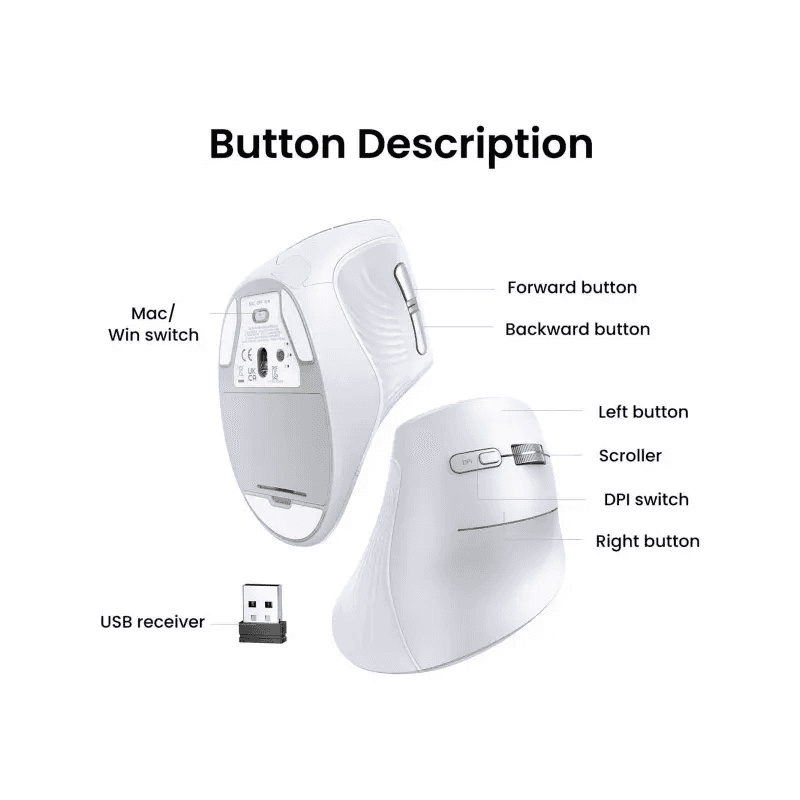 UGREEN SOURIS SANS FIL BLUETOOTH MULTI-MODE VERTICAL Blanc (45759) - Image 4