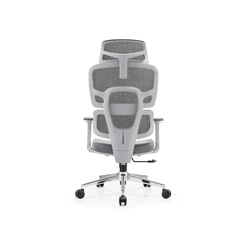 NOVA SEBOU Gris - Image 4
