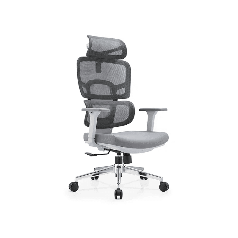NOVA SEBOU Gris - Image 2